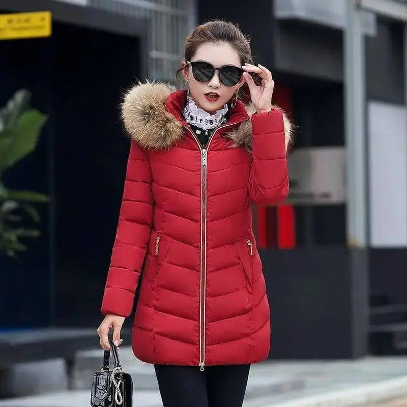 Mid-length slim cotton jacket large fur collar down jacket-gules-2